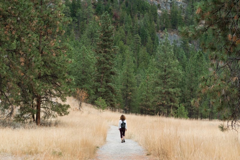 Nature Walk